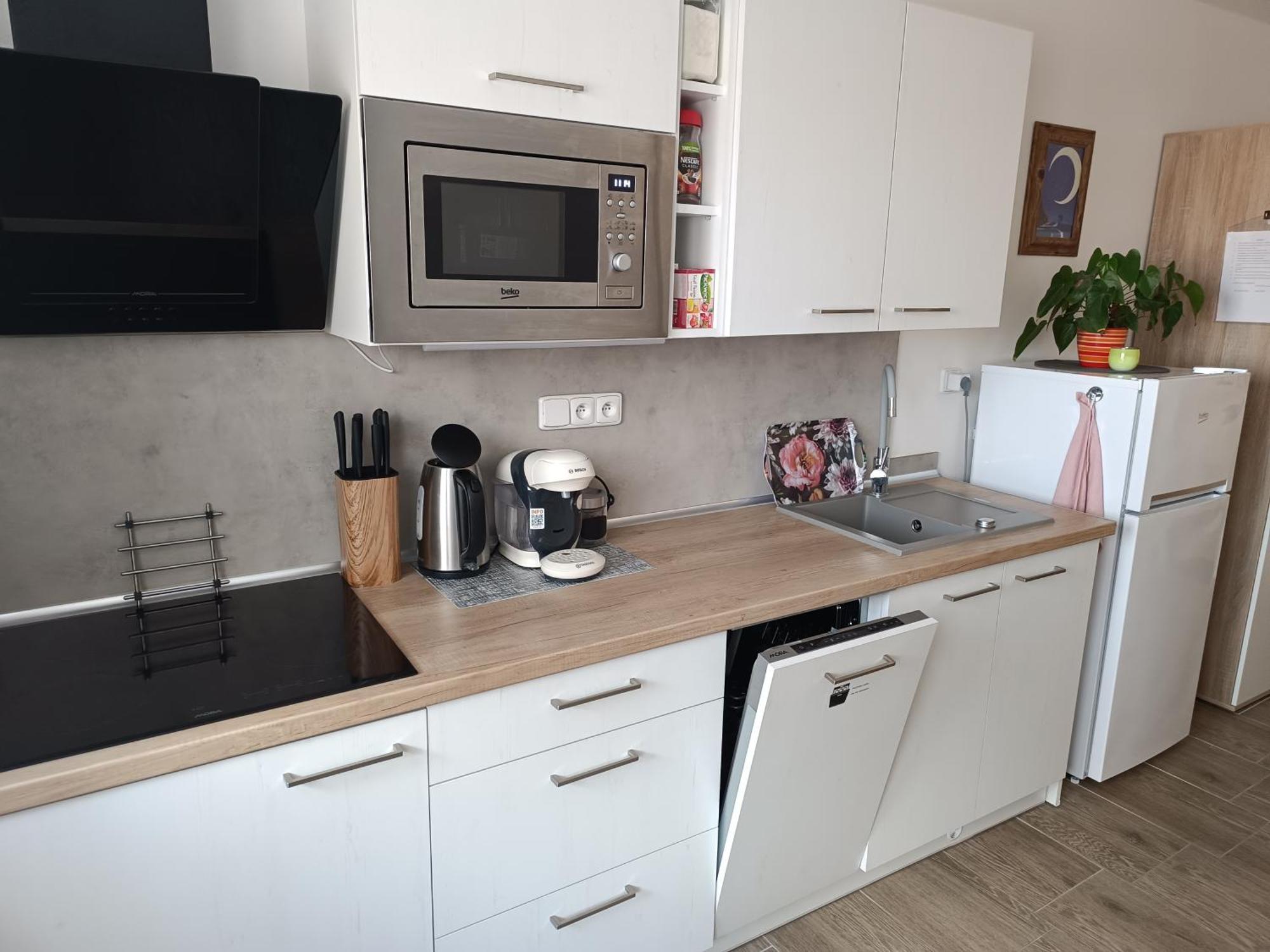 Apartmany Svitkov 79 Pardubice Dış mekan fotoğraf